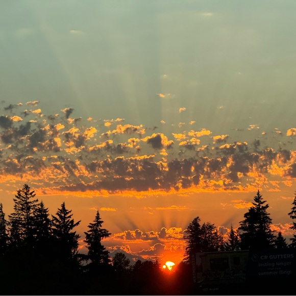 Meet your Posher, Posh - Picture 4 of 6